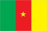 Cameroon Country Flag
